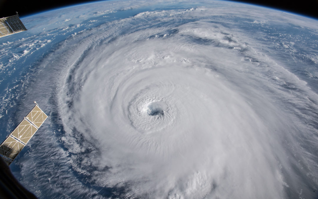 Parametric insurance for the tropical cyclone risk