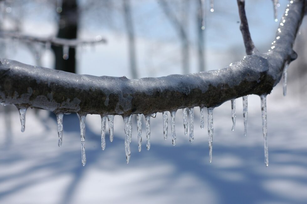 a-cold-snap-in-texas-how-unexpected-axa-climate