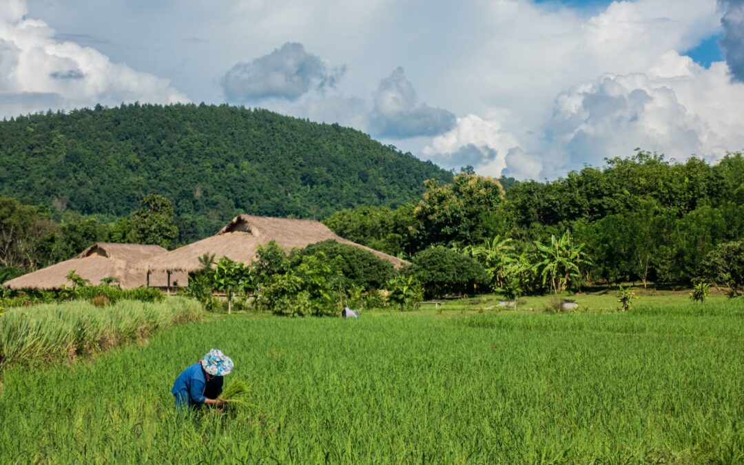 What does a regional adaptation plan could look like? The case of water management and sustainable agriculture in Thailand