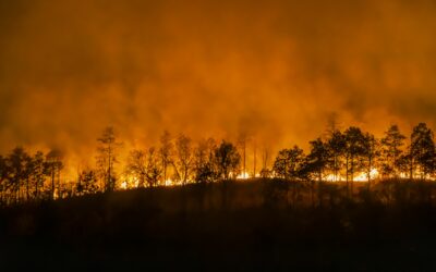 Why are the ‘Zombie’ fires in Siberia a ticking climate bomb?