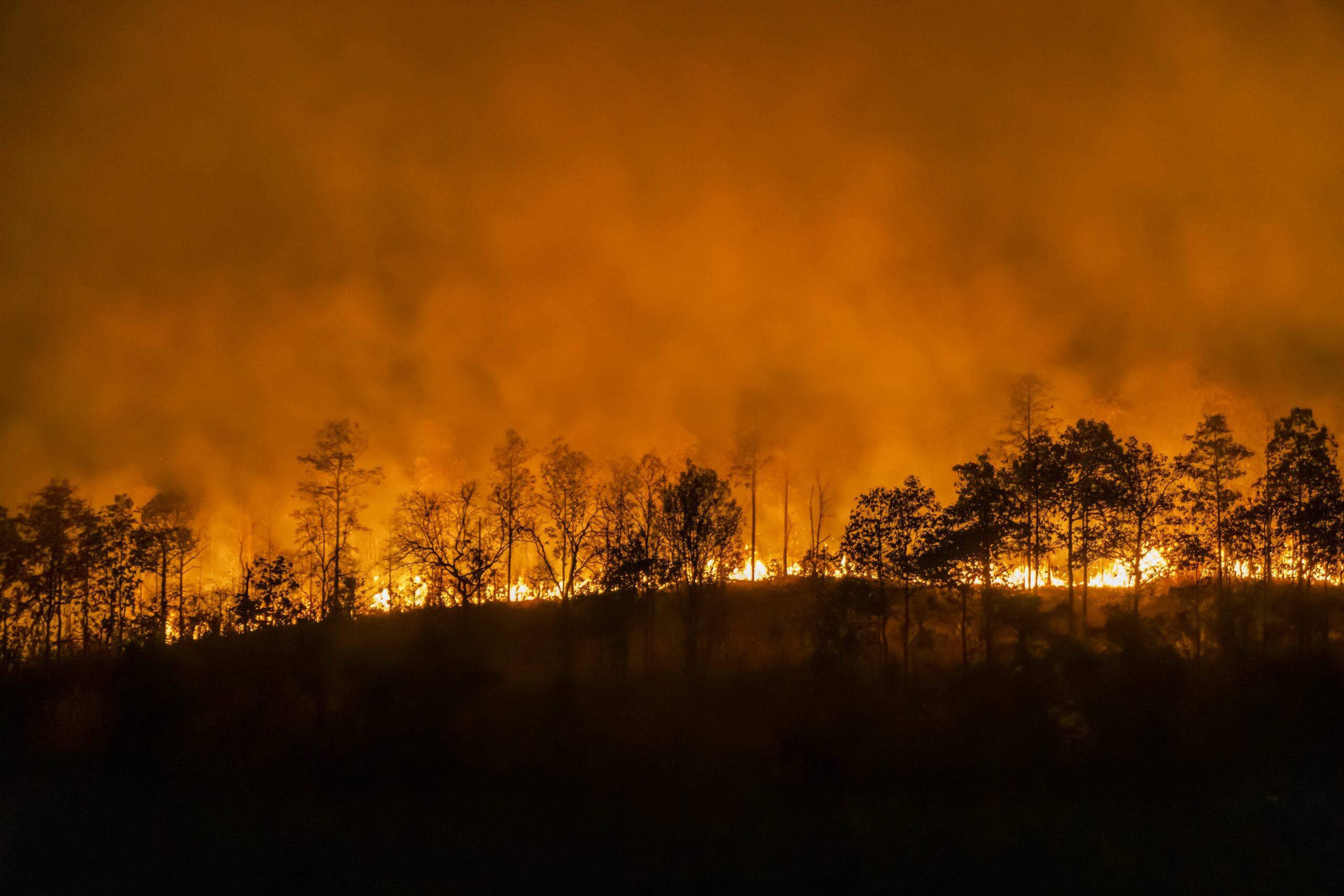 Why are the 'Zombie' fires in Siberia a ticking climate bomb? - AXA Climate