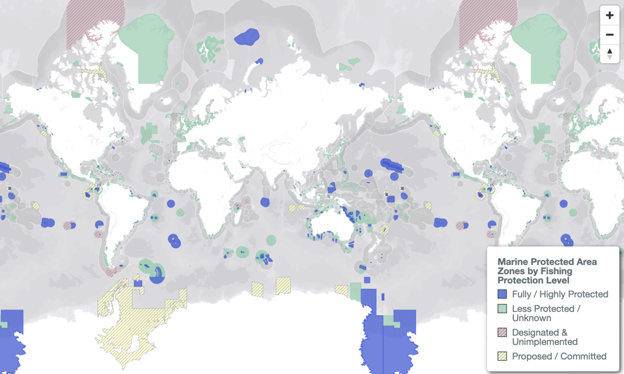 Protection Map Is there a future for Coral Reefs? - AXA Climate