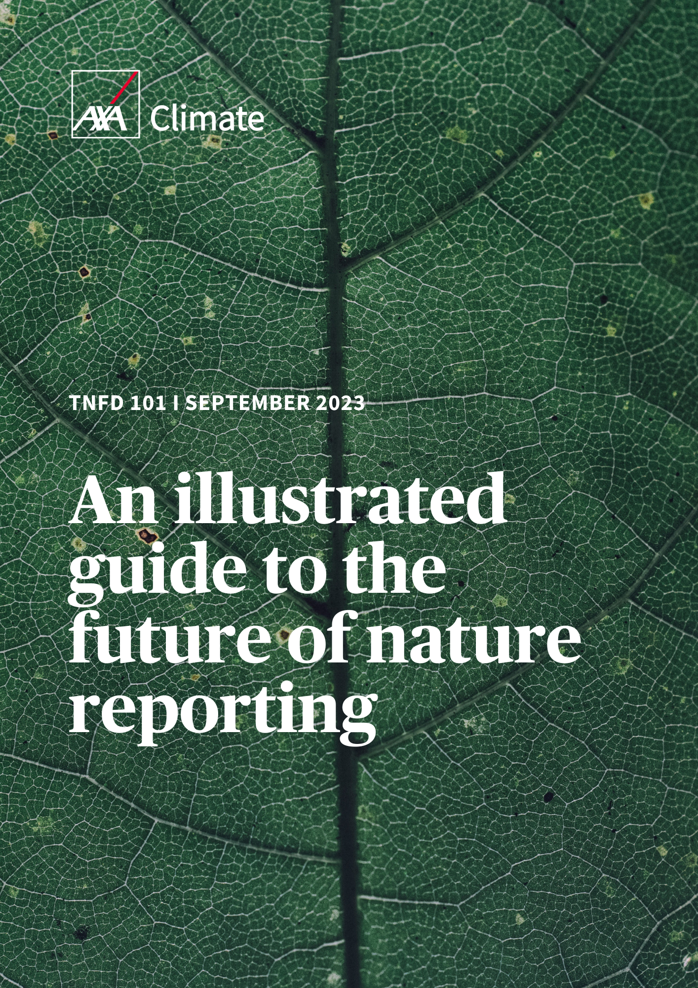 TNFD An illustrated guide to the future of nature reporting
