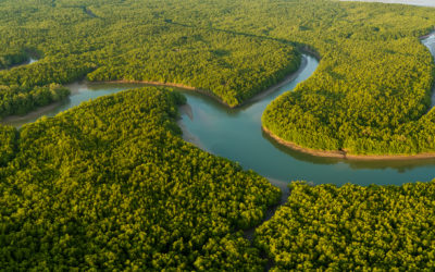 AXA Climate, AXA Seguros Mexico and ClimateSeed are jointly creating the 1st insurance policy for the protection of mangrove forests in Mexico