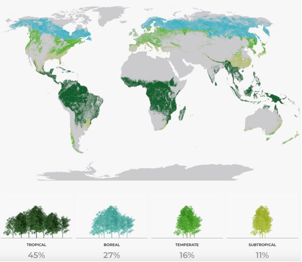forest distribution
